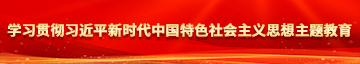 无毛大鸡巴日逼学习贯彻习近平新时代中国特色社会主义思想主题教育